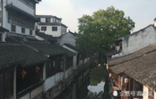 88岁老人每天玩3小时游戏获吉尼斯纪录 老伴：他还是“家务万能手”